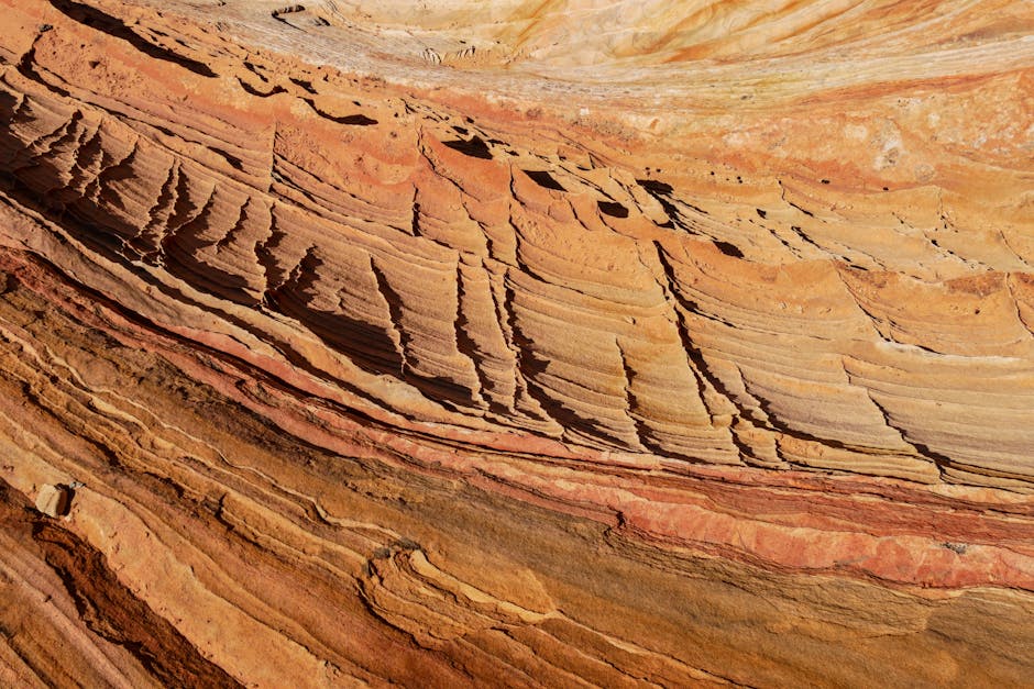 지구의 역사 - 우주 형성부터 인류 등장까지